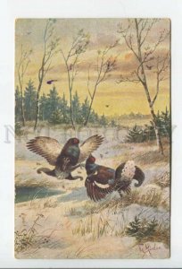 431845 Rosler MOSLER Hunt Black grouse fight Vintage postcard