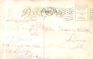 Bear By HH Tammen Postcard