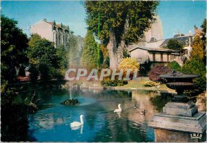 Modern Postcard Vichy Allier Queen of Cities of Water Swans in major Basin Parks