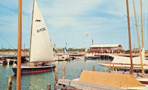 Postcard  Early View of Sailboats docked in Dewey Beach, DE.   L5