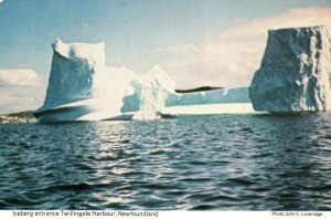 CONTINENTAL SIZE POSTCARD ICEBERG ENTRANCE TO TWILLINGATE HARBOUR NEWFOUNDLAND