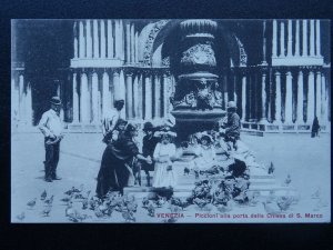 Italy VENEZIA Piccioni alla ports della CHIESA DI S. MARCO - Old Postcard