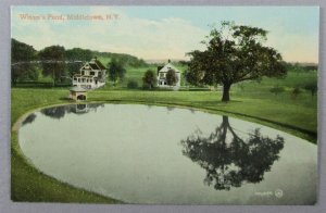 Wisner's Pond, Middletown NY 1909 Postcard (#7223)