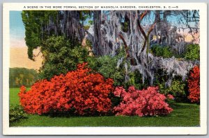 Charleston South Carolina 1937 Postcard Formal Section Of Magnolia Gardens