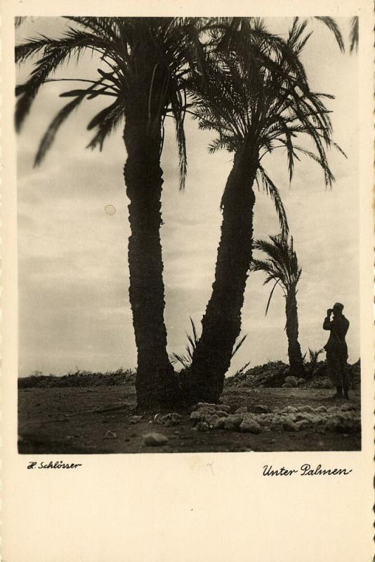 libya, Beneath the Palm Trees (1940s) H. Schlösser Photo