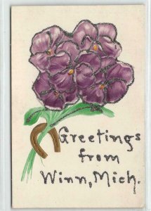 WINN, MI Flowers Glitter Horseshoe Greetings c1910s Embossed Vintage Postcard