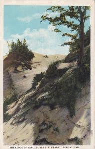 The Flood Of Sand Dunes State Park Tremont Indiana