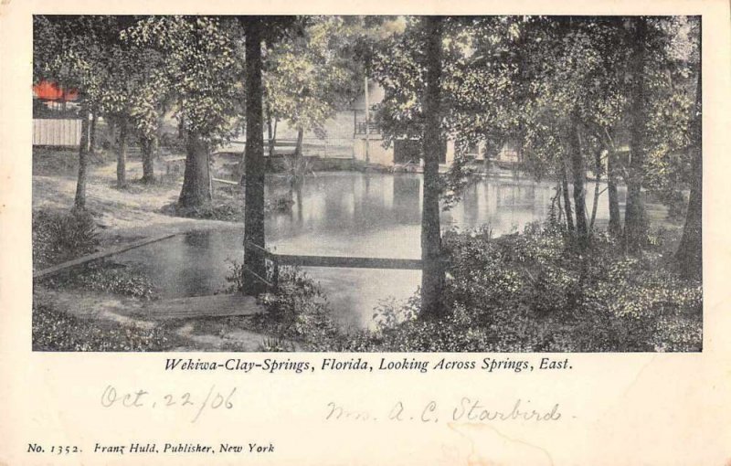 Wekiwa Clay Springs Florida Looking Across Springs Vintage Postcard AA11906