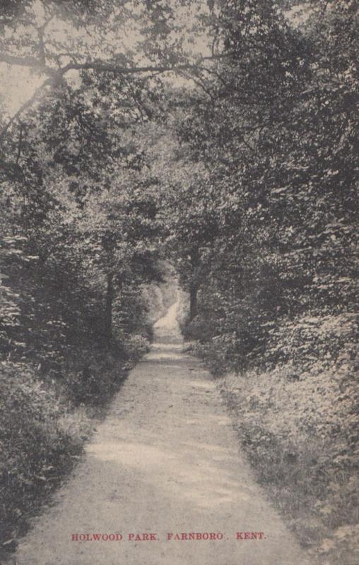 Holywood Park Farnborogh Kent Scary Wooded Lane Play Message Antique Postcard