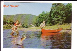 Reel Thrill, Fly Fishing, Canoe