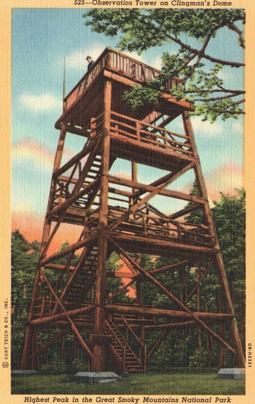 Vintage Postcard Observation Tower Clingman's Dome Great Smoky Mountains Park