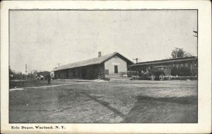 Wayland NY Erie RR Depot Train Station c1910 Postcard