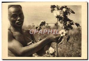 Old Postcard French Equatorial Africa The picking cotton