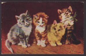 Four Cats Postcard 