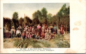 Postcard A Hop Field Scene in Washington Children People Picking Hops