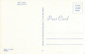 Postcard Money-divers West Indies