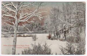 After A Snowfall High Park Toronto Ontario Canada 1910c 