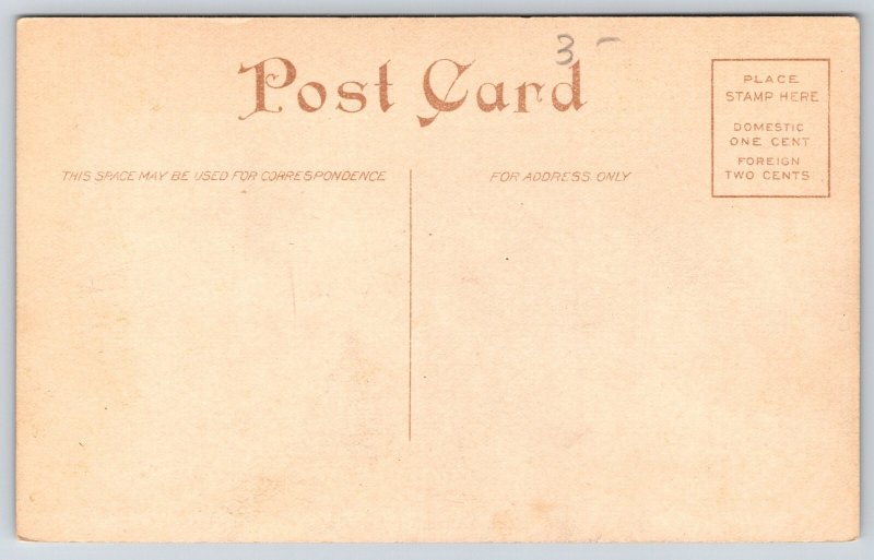 Carson City Nevada~US Mint in the Trees~Dirt Road~c1910 Postcard