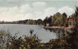 WHITE LAKE SULLIVAN COUNTY NEW YORK~H J SARLES #8380 PUBL POSTCARD 1912