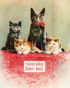Adorable Kitten Gale Company Sulky Chilled Plow Agricultural Antique Trade Card
