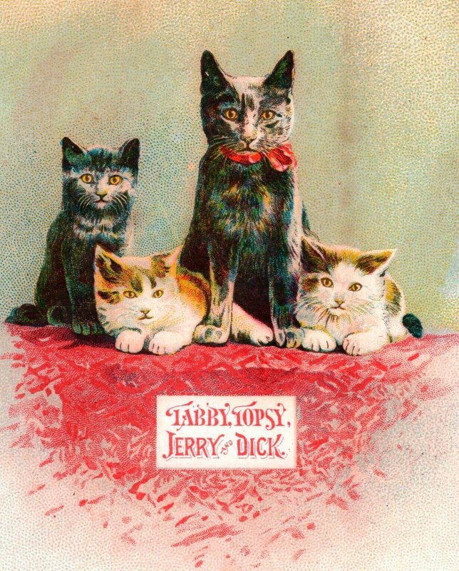 Adorable Kitten Gale Company Sulky Chilled Plow Agricultural Antique Trade Card