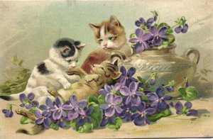 PC CATS, CATS PLAYING AMONGST PURPLE FLOWERS, Vintage EMBOSSED Postcard (b47026)