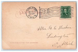 1905 Fox River Water Power Exterior Building Appleton Wisconsin Vintage Postcard
