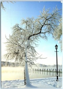 M-51007 Winter Scenery Finland