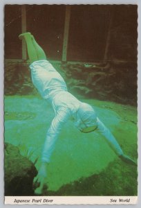 Theme Park & Expo~Japanese Pearl Diver Sea World~Continental Postcard
