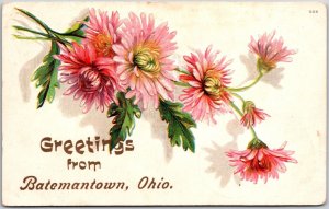 1908 Greetings from Batemantown Ohio OH Asters Bouquet Posted Postcard