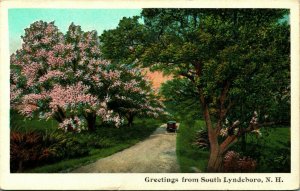 Generic Country Road Greetings From South Lyndeboro New Hampshire NH WB Postcard