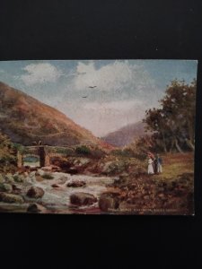 Tuck's Post Card FINGLE BRIDGE, Dartmoor, South Devon oilette