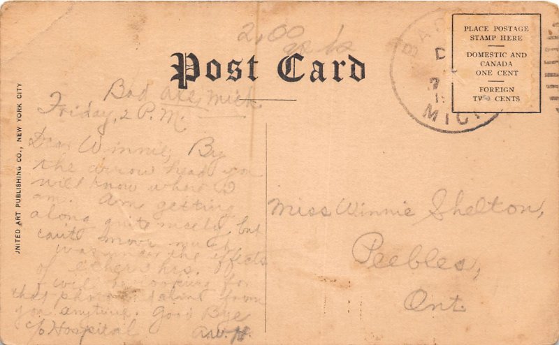 J66/ Bad Axe Michigan Postcard c1910 Hospital Building  281