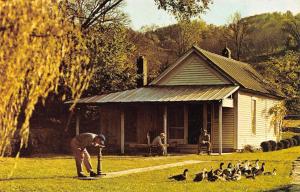 LYNCHBURG, TN Tennessee  JACK DANIEL'S OLD OFFICE Ducks Outside Chrome Postcard