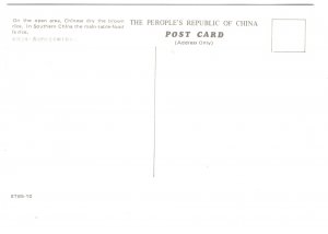 Drying Brown Rice, Southern China, Farming