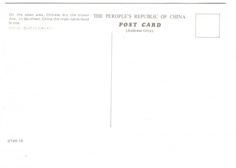 Drying Brown Rice, Southern China, Farming