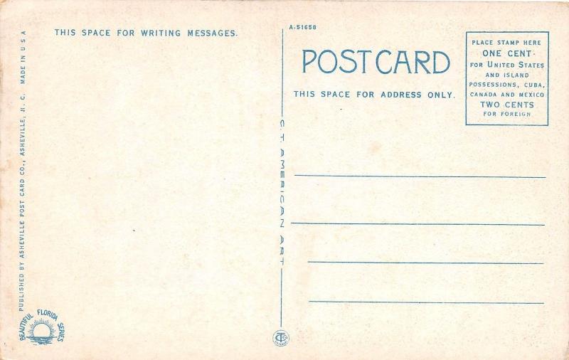 B28/ Native American Indian Postcard c1910 Seminole Indians Florida Tribe 19