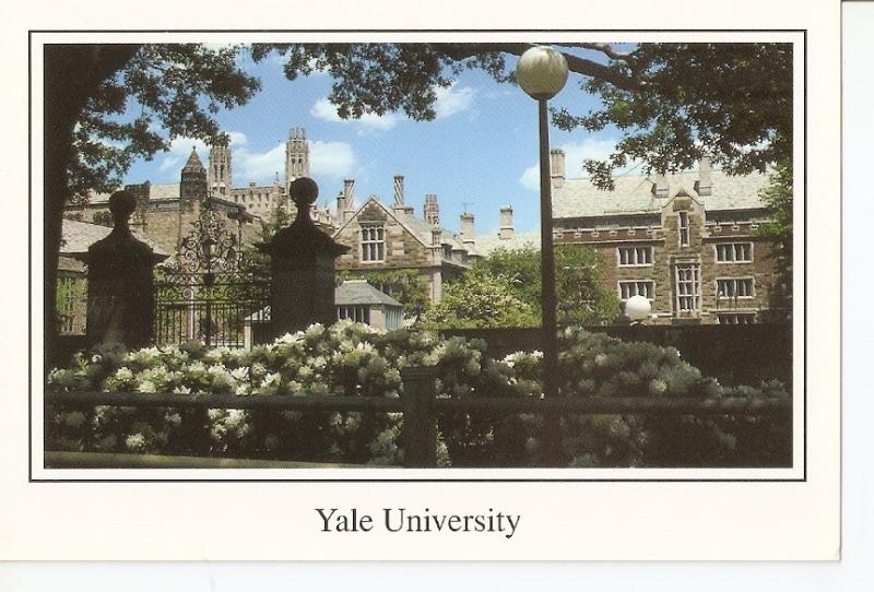 Postal 039646 : Yale University. New Haven Connecticut