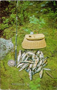 Plessisville QC Fly Fishing Fly Rod Fish Basket Postcard G66