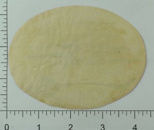 1940's-50's Aerovias Brazil Luggage Label Original E18