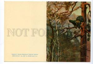 132609 Tetrao HUNT Western Capercaillie Old Russian PC