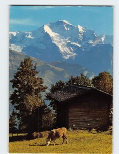 Postcard Jungfrau, Switzerland