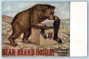 Bear Brand Hosiery Postcard Paramount Knitting Co Chicago Illinois Advertising