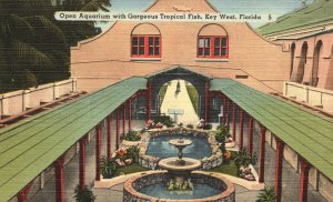 Vintage Postcard Open Aquarium With Gorgeous Tropical Fish Key West Florida FL