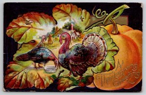 Thanksgiving Greetings Turkey Farm Scene In Leaf Pumpkin Postcard V22