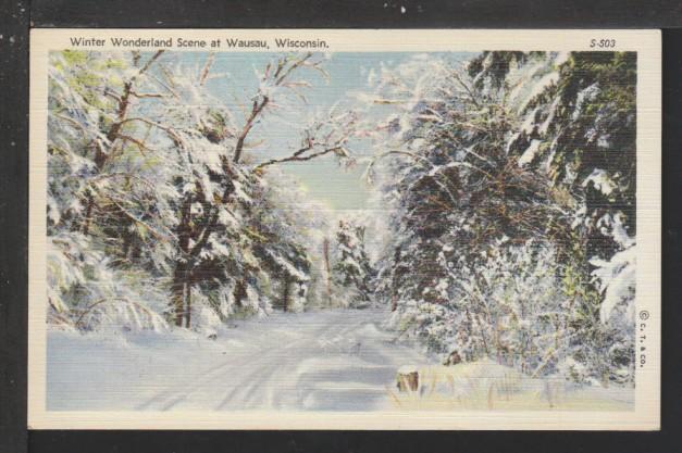 Winter Wonderland Scene at Wausau,WI Postcard 