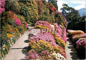 Postcard Modern Villa Carlotta Azalee