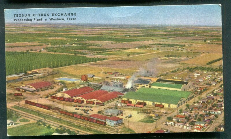 Weslaco Texas tx Texsun Citrus Exchange linen Advertising postcard