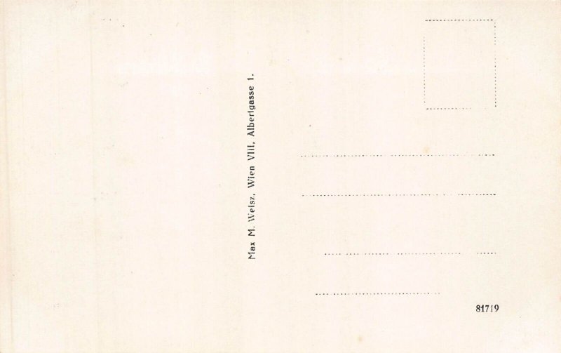 Austria Altaussee General View vintage postcard