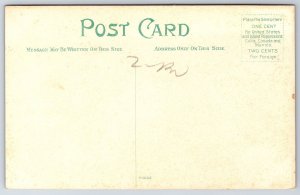 Newport News Virginia~Warwick Hotel Covered Sidewalk~Federal Building~1908 PC